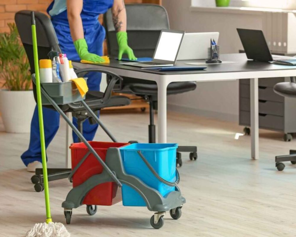 459536279_122111354720502686_1671327880951664661_n