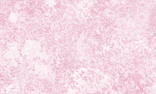 Screenshot 2025-04-15 alle 13.59.10