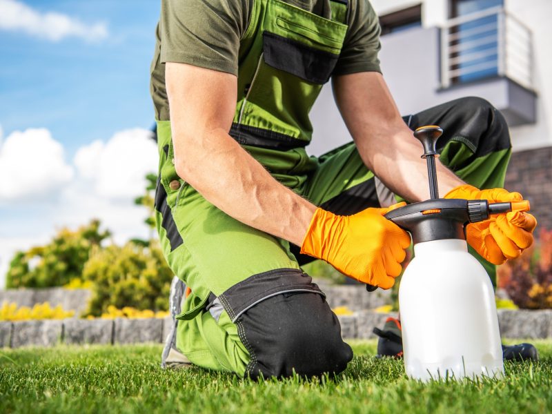 Garden Fungicide and Insecticide Equipment